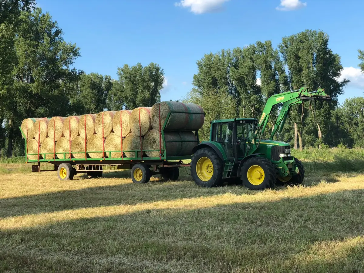 Traktor mit einem Anhänger voller Heuballen auf dem Feld